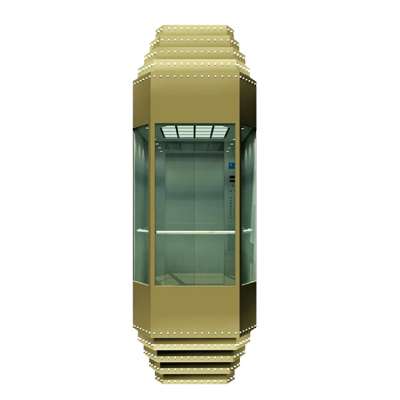 sightseeing lift panoramic elevator with cheap price